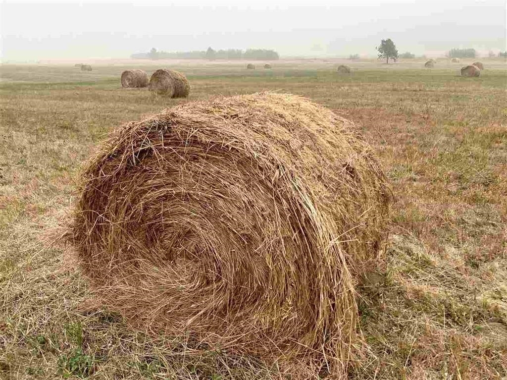 4681 Springdale Hunters Road Springdale, WA 99173 - Photo 3 of 8