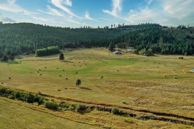 4681 Springdale Hunters Road Springdale, WA 99173 - Photo 4 of 8