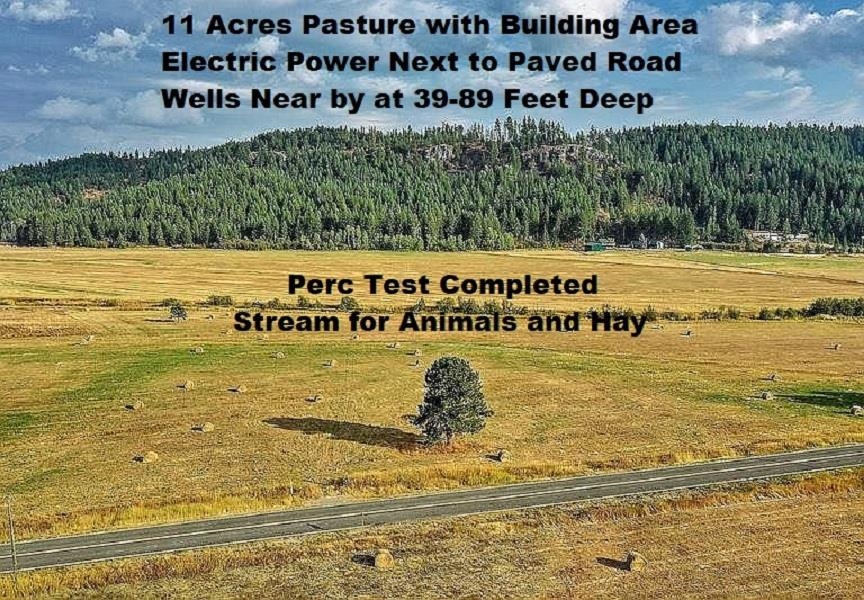 4681 Springdale Hunters Road Springdale, WA 99173 - Photo 5 of 8