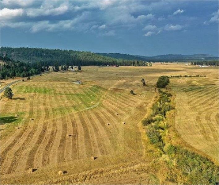 4681 Springdale Hunters Road Springdale, WA 99173 - Photo 6 of 8