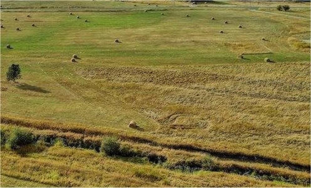 4681 Springdale Hunters Road Springdale, WA 99173 - Photo 7 of 8