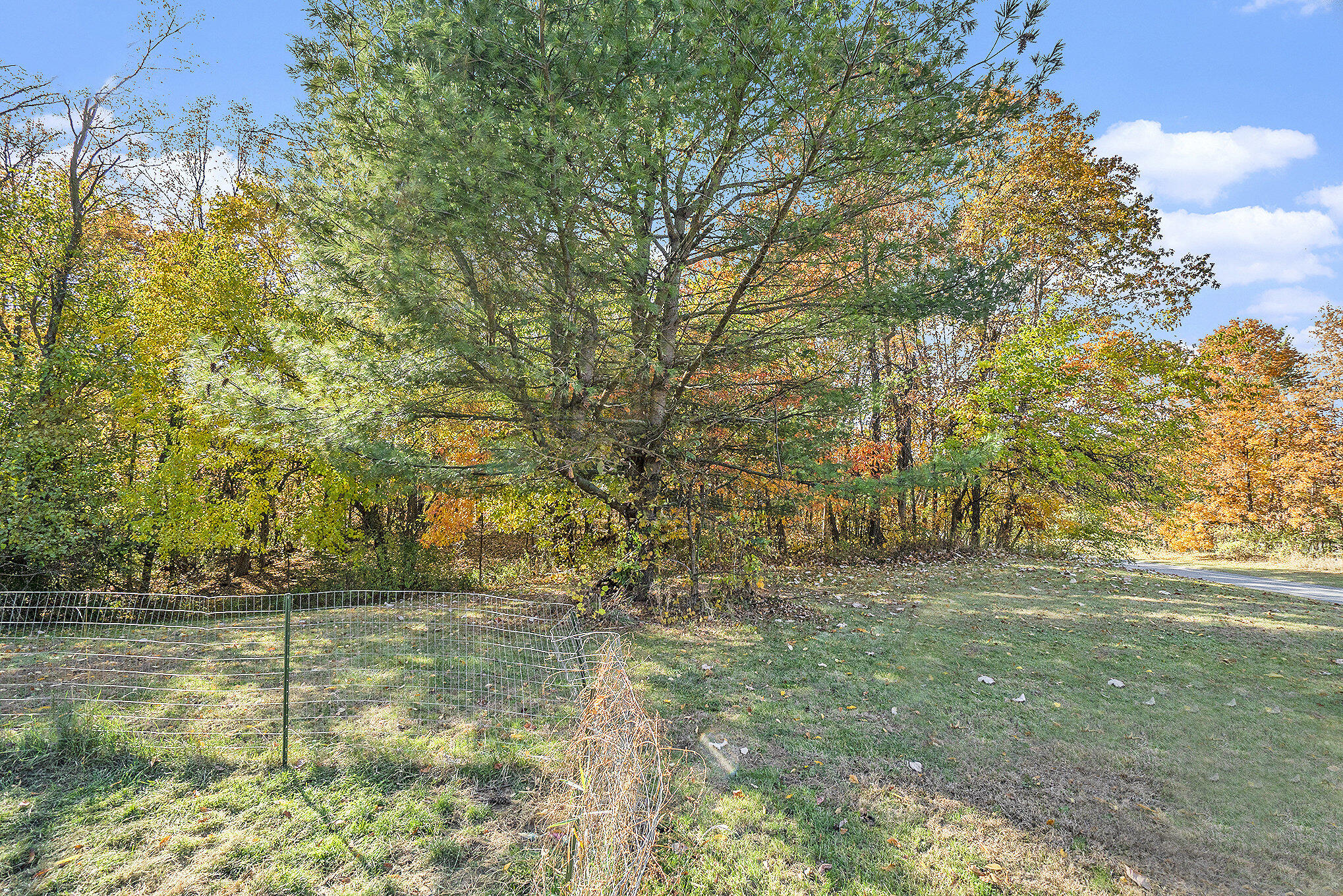 1695 Pifer Road Delton, MI 49046 - Photo 5 of 22 040_pifer_669