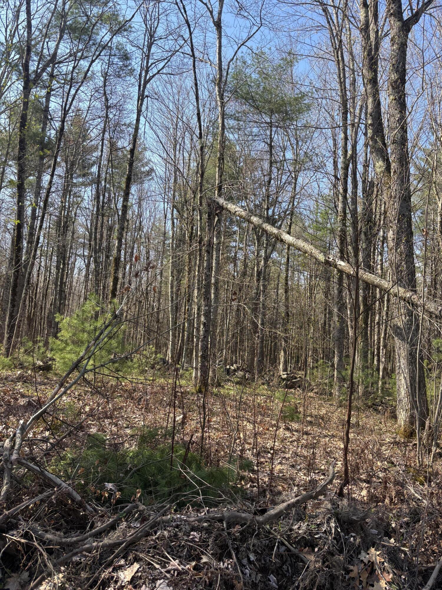 Lot 88 Bolton Hill Road Augusta, ME 04330 - Photo 9 of 17