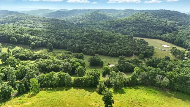 a view of a green yard