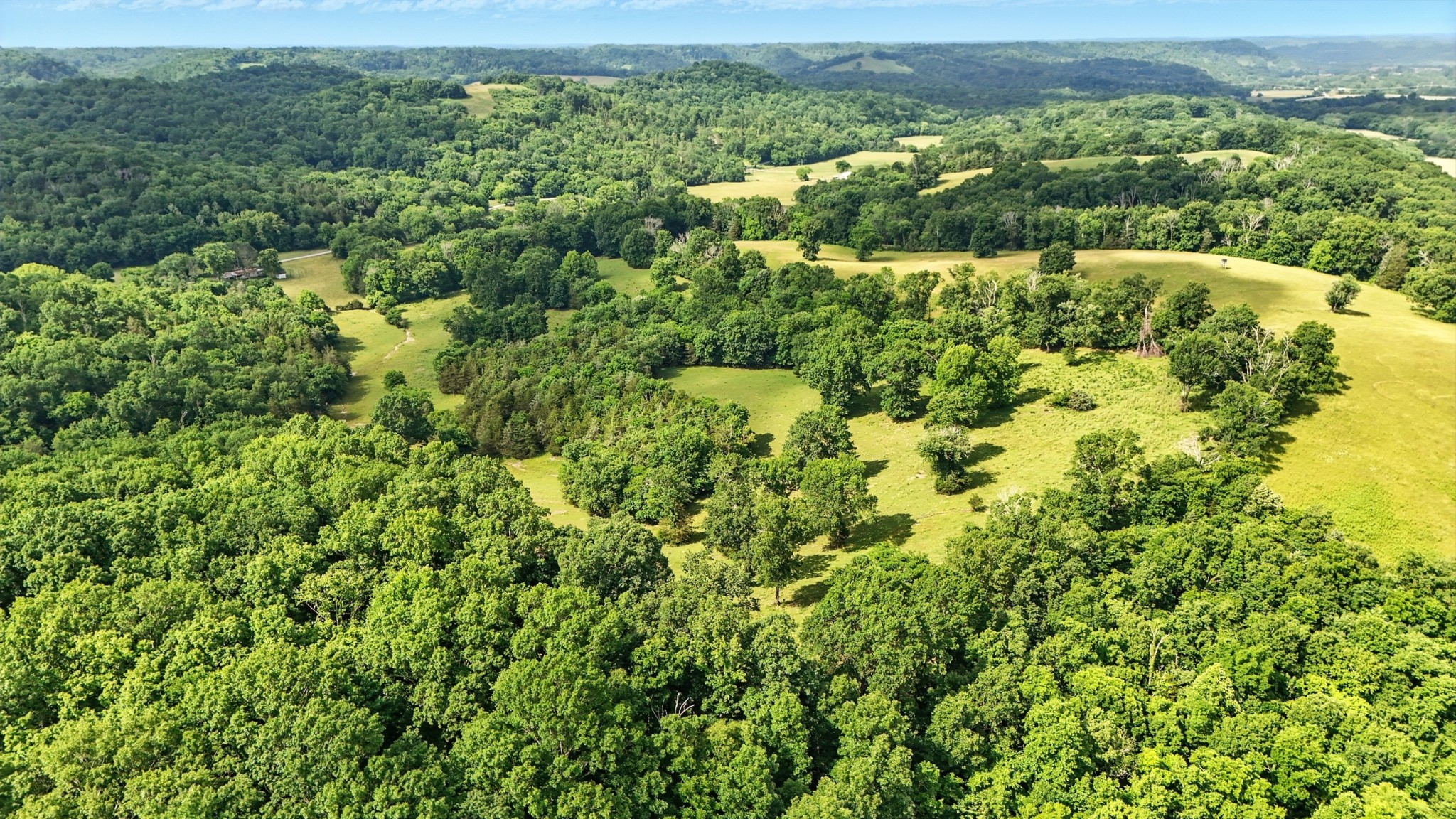 124 Blue Smith Road Petersburg, TN 37144 - Photo 12 of 49 a view of a green yard