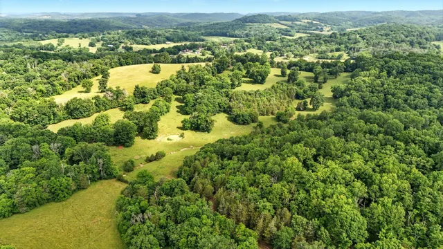 a view of outdoor space with green field and trees