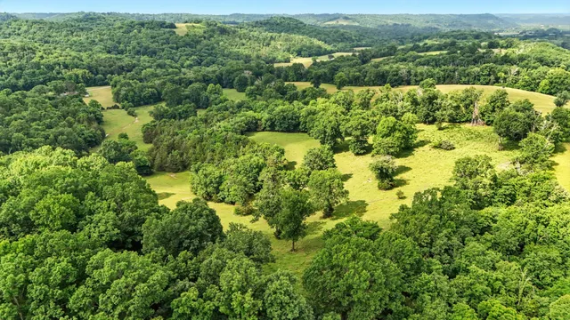 a view of a pathway of a park