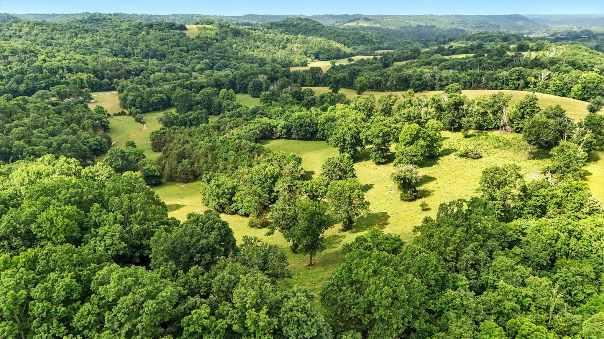 124 Blue Smith Road Petersburg, TN 37144 - Photo 15 of 49 an aerial view of residential house with outdoor space and trees all around