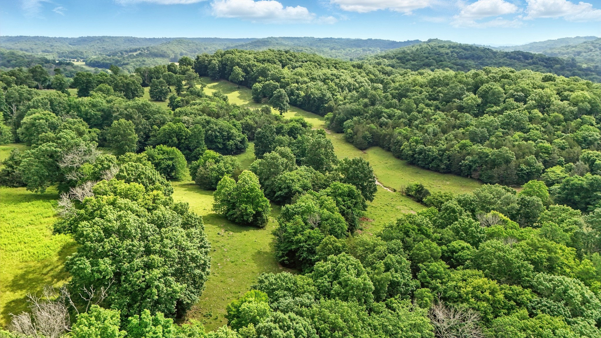 124 Blue Smith Road Petersburg, TN 37144 - Photo 17 of 49 a view of a lush green field with lots of bushes