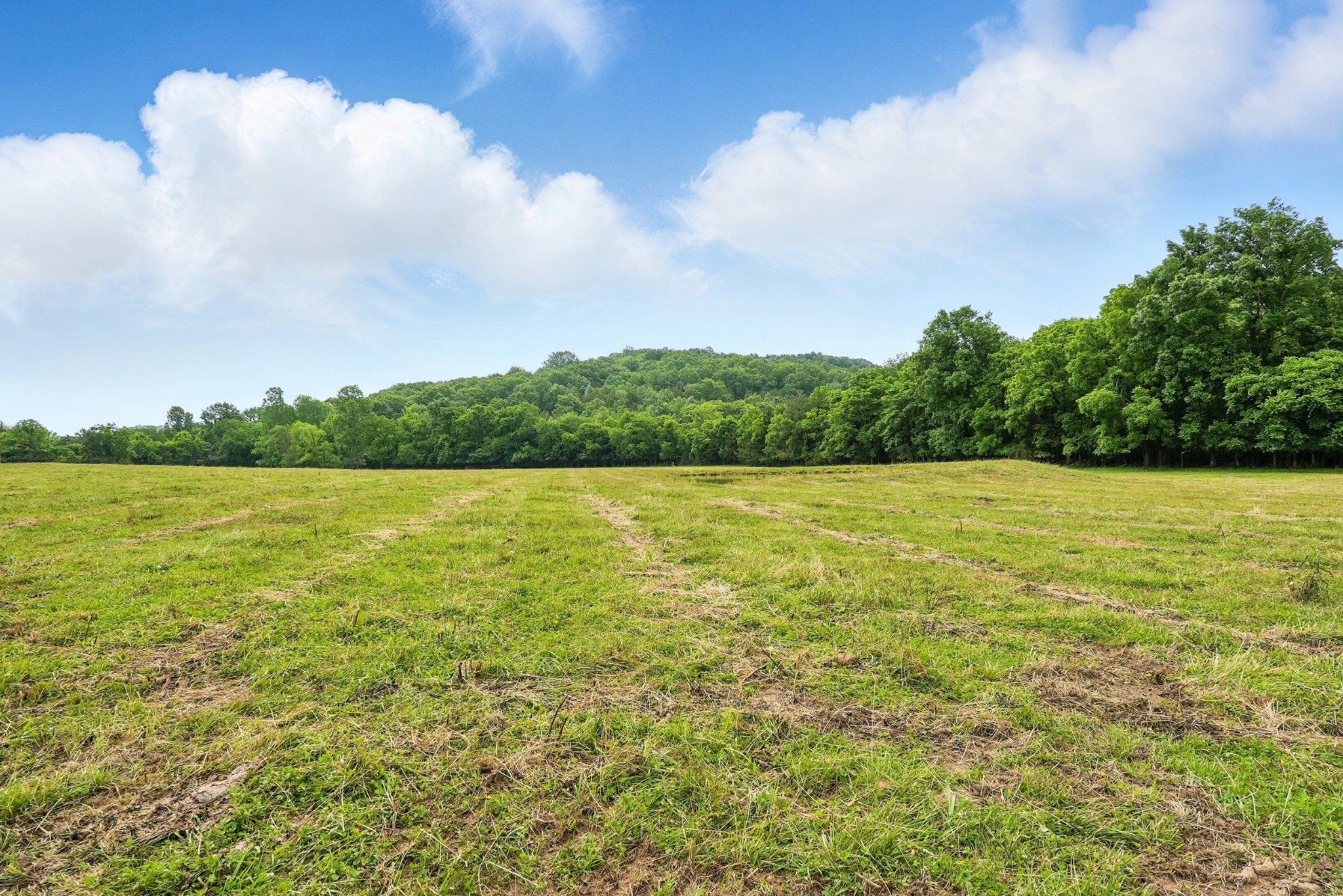 124 Blue Smith Road Petersburg, TN 37144 - Photo 18 of 49 a view of a lake view