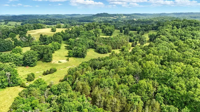 a view of a yard with an outdoor seating