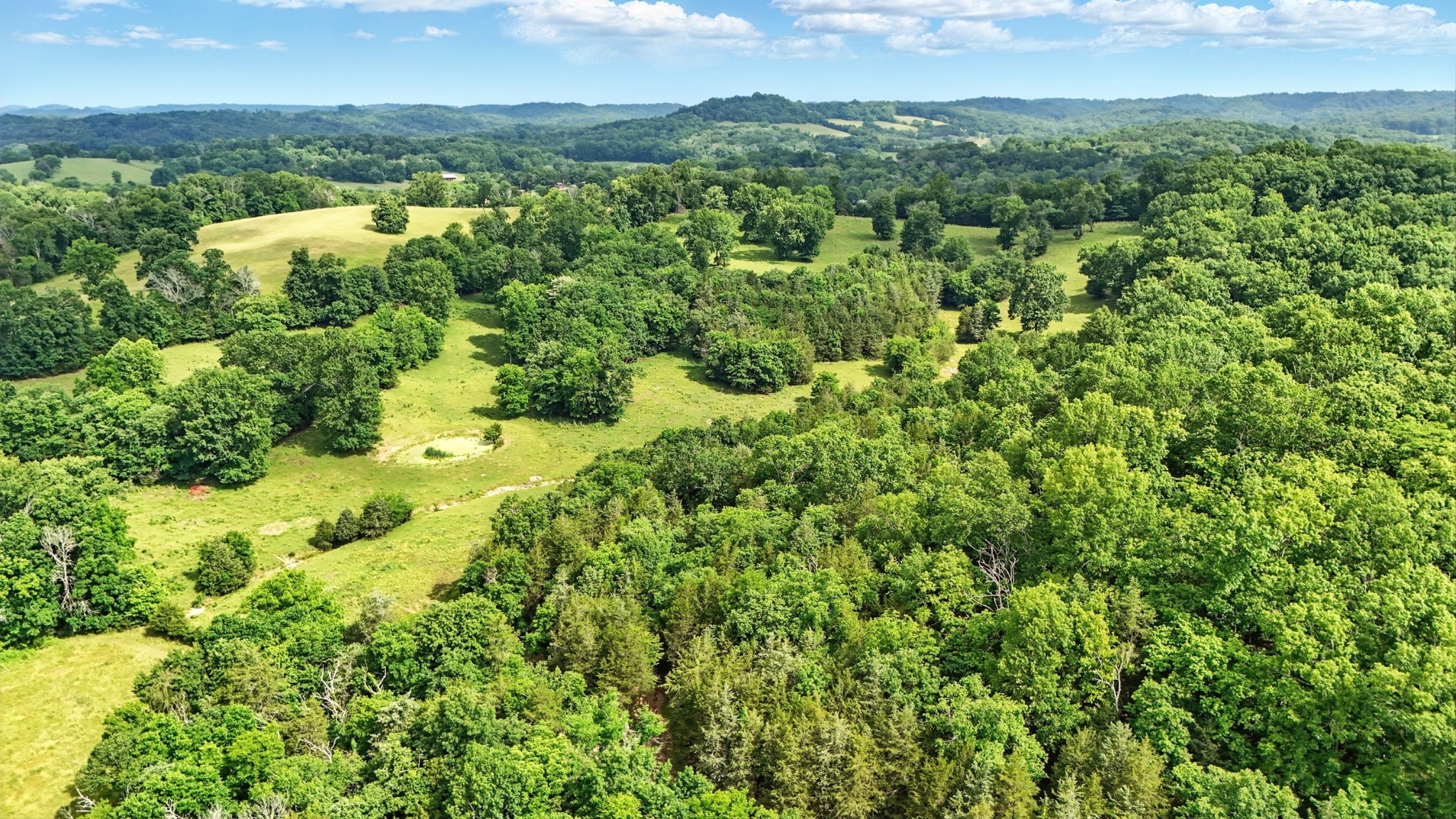 124 Blue Smith Road Petersburg, TN 37144 - Photo 19 of 49 a view of a garden with an outdoor space