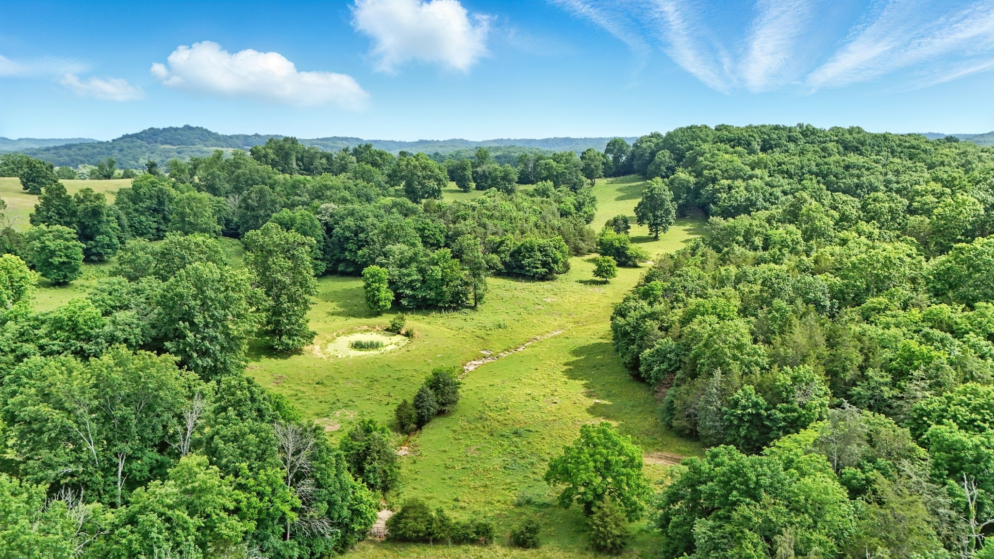 124 Blue Smith Road Petersburg, TN 37144 - Photo 21 of 49 a view of a green yard