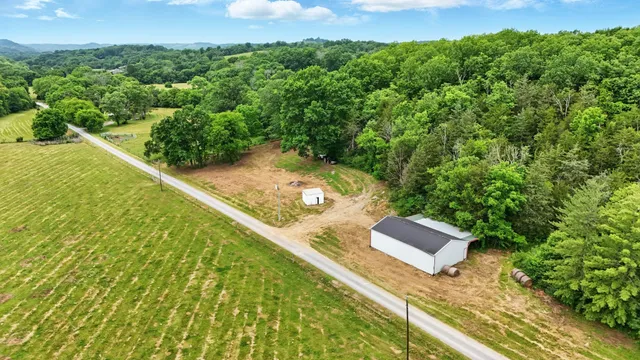 a view of a lush green field with lots of bushes