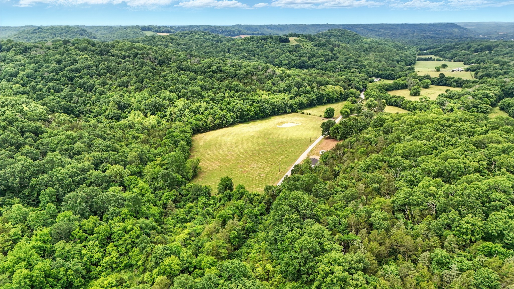 124 Blue Smith Road Petersburg, TN 37144 - Photo 23 of 49 a view of a lush green field with lots of bushes