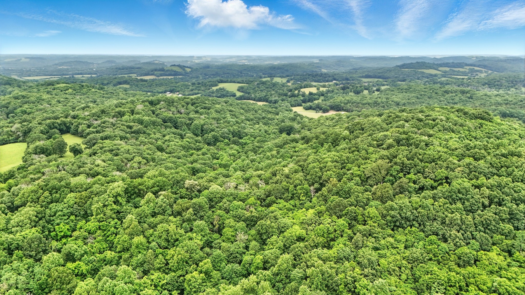 124 Blue Smith Road Petersburg, TN 37144 - Photo 26 of 49