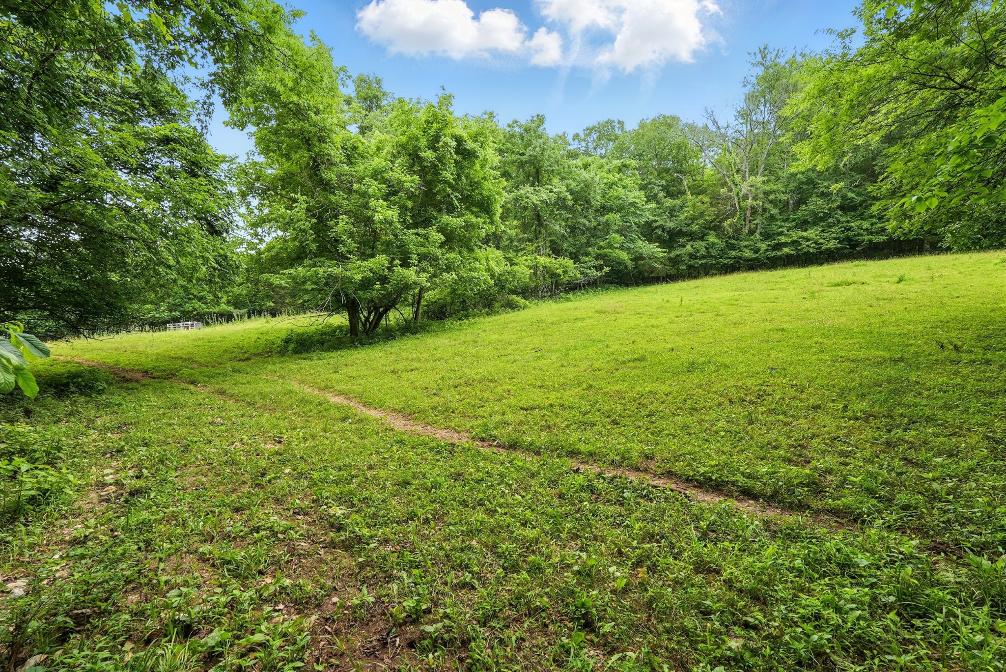 124 Blue Smith Road Petersburg, TN 37144 - Photo 27 of 49 a view of yard with green space