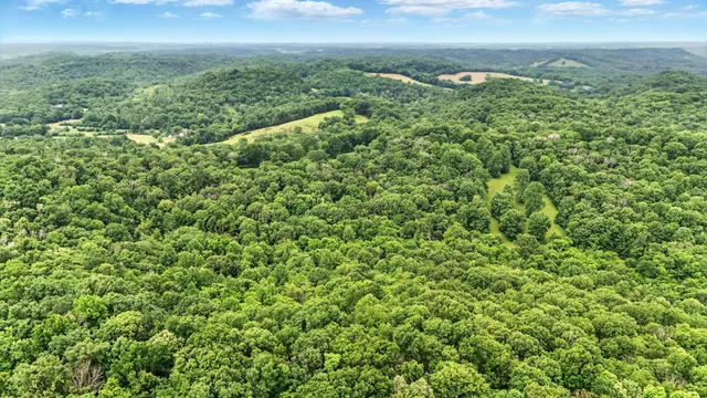 a view of a yard with an outdoor space