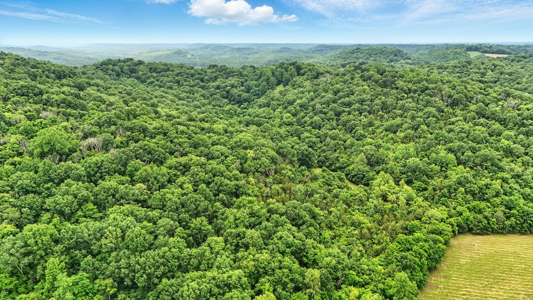 124 Blue Smith Road Petersburg, TN 37144 - Photo 31 of 49 a view of a yard with an outdoor space