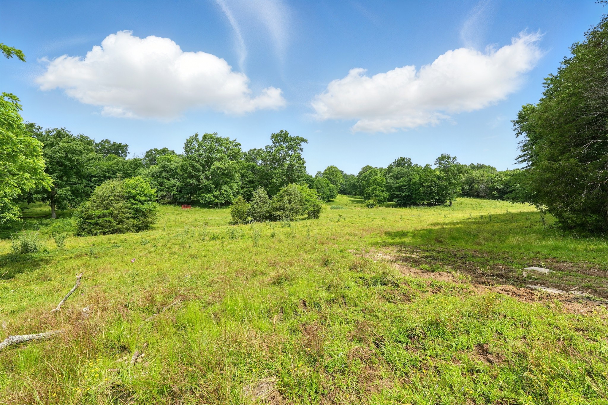 124 Blue Smith Road Petersburg, TN 37144 - Photo 32 of 49 a view of a lake with a big yard