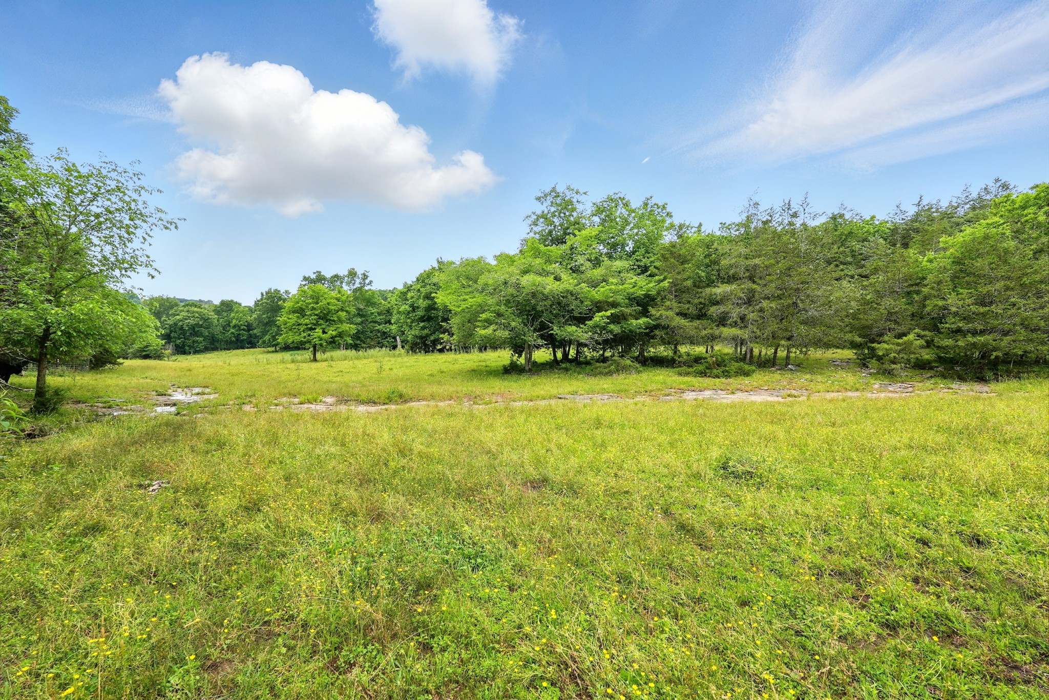 124 Blue Smith Road Petersburg, TN 37144 - Photo 34 of 49 a view of a big yard with swimming pool and green space