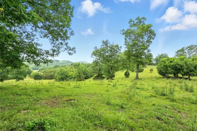 a white house with a big yard plants and large trees