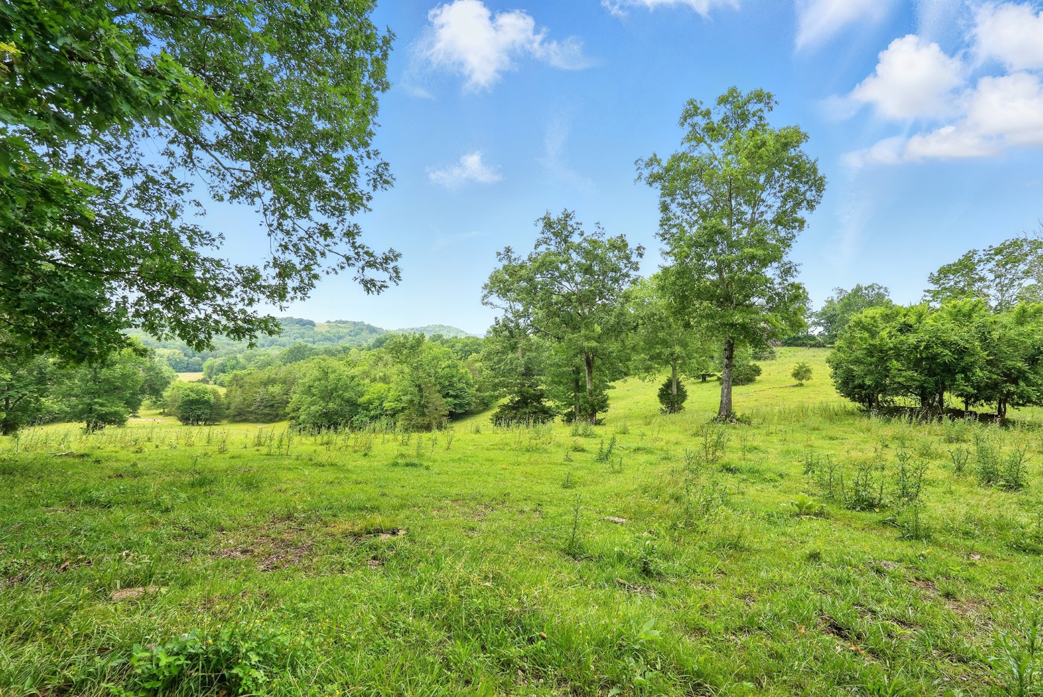 124 Blue Smith Road Petersburg, TN 37144 - Photo 35 of 49 a view of an outdoor space and a yard