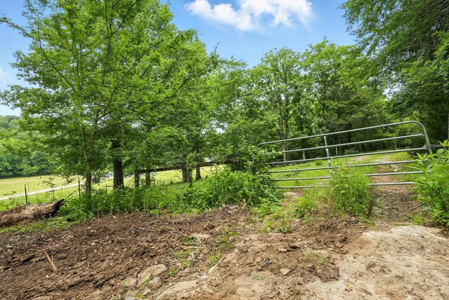 a view of a back yard