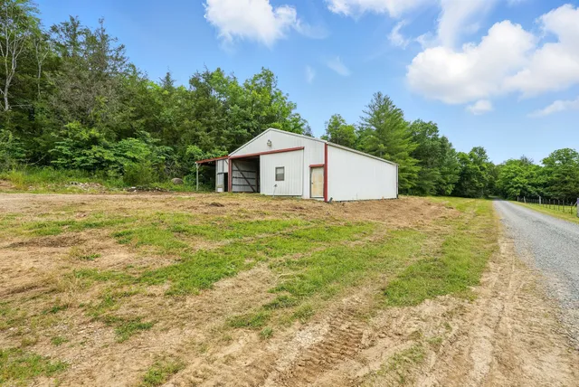 a big yard with lots of green space and deers