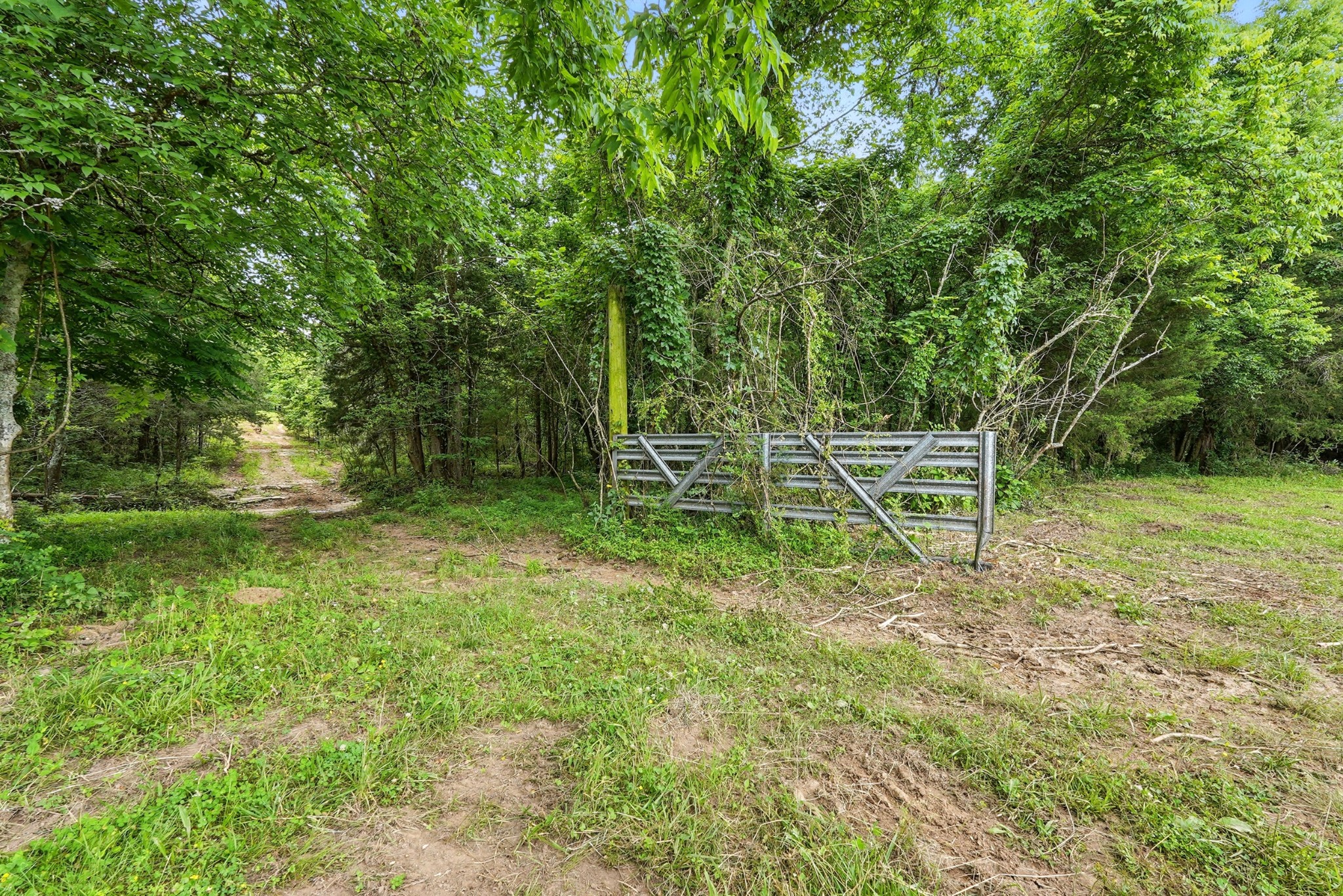 124 Blue Smith Road Petersburg, TN 37144 - Photo 40 of 49 a view of a park with large trees