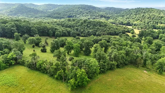 a view of a lush green forest with trees and some houses