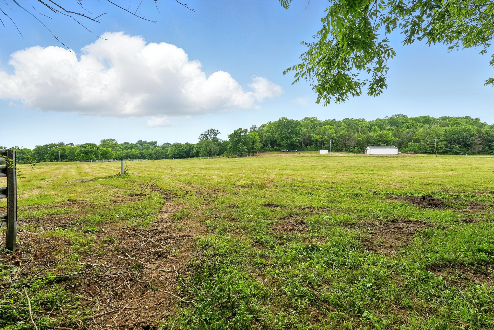 124 Blue Smith Road Petersburg, TN 37144 - Photo 41 of 49 a view of an ocean from a yard