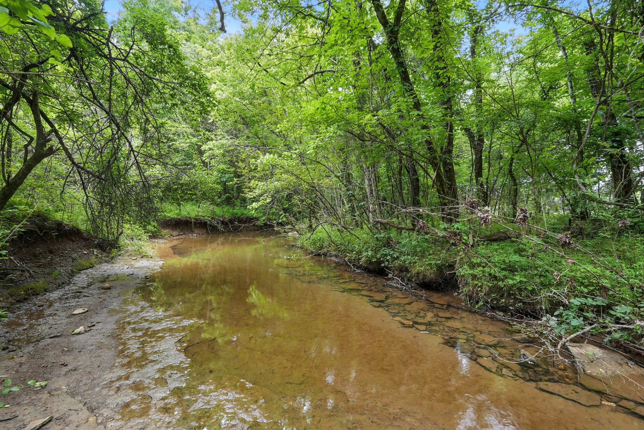 124 Blue Smith Road Petersburg, TN 37144 - Photo 42 of 49 a view of lake with green space