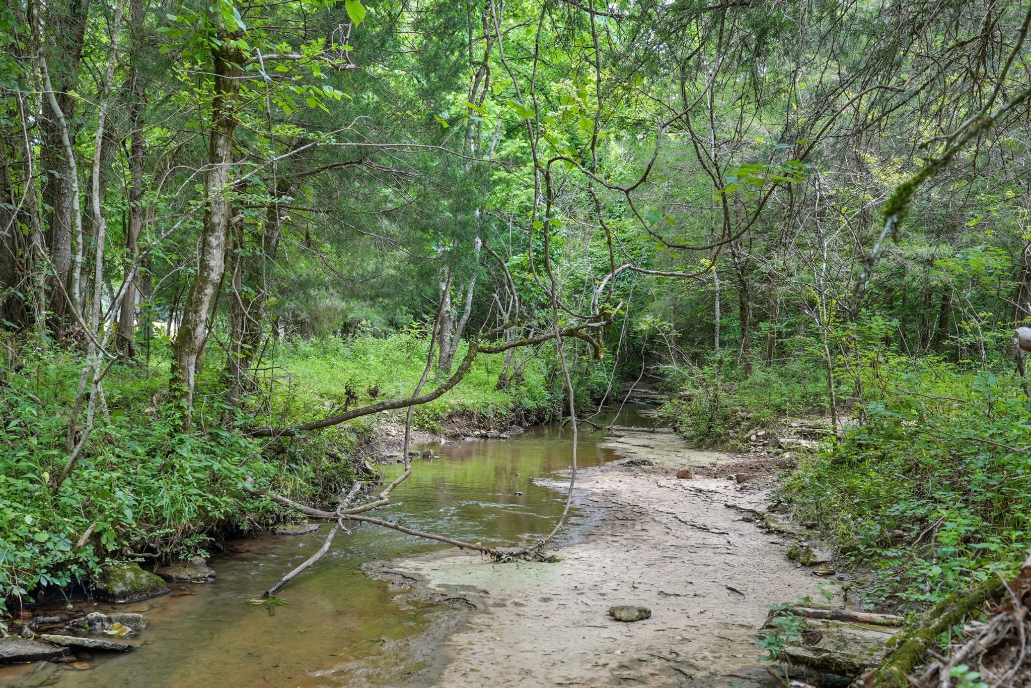 124 Blue Smith Road Petersburg, TN 37144 - Photo 43 of 49