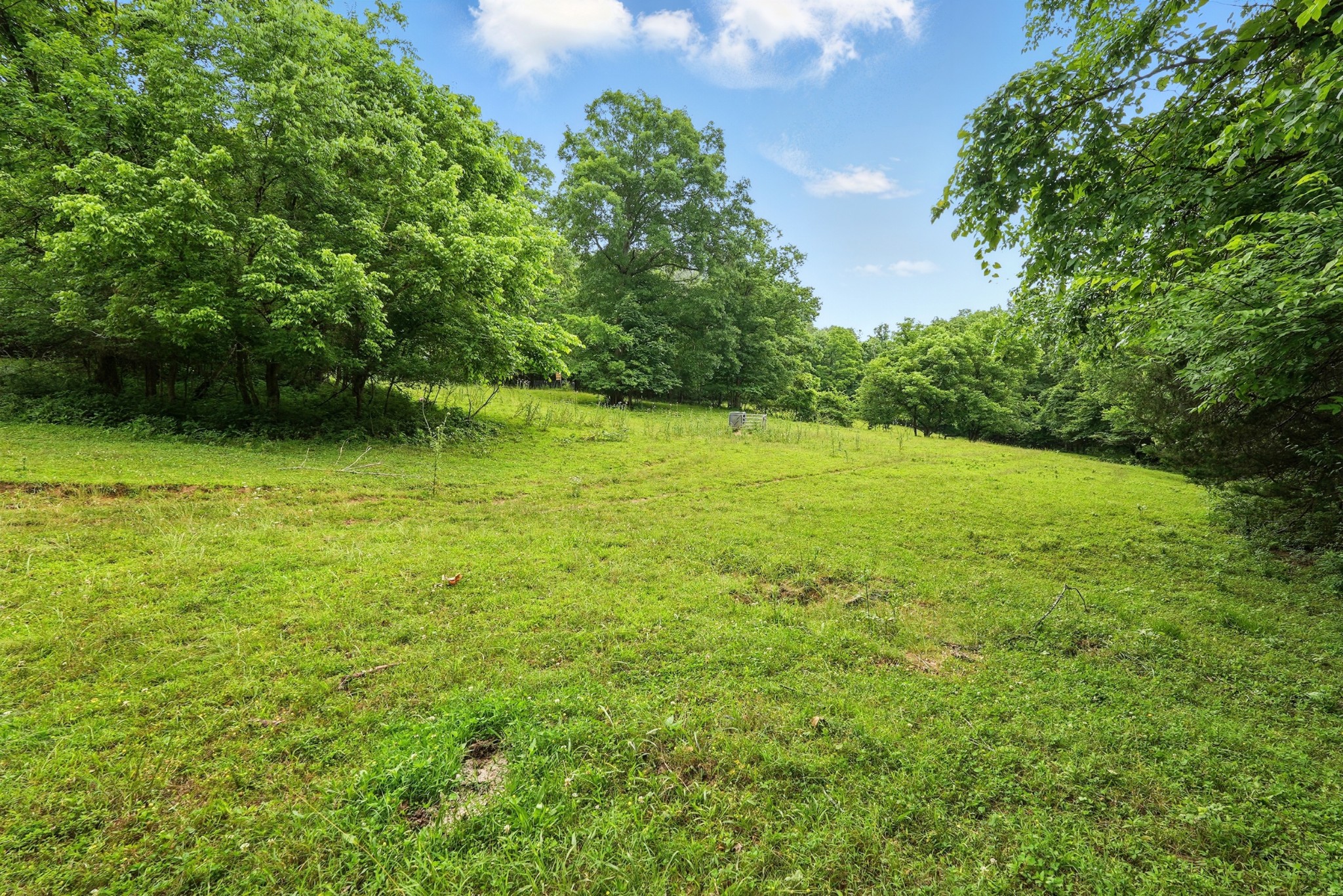 124 Blue Smith Road Petersburg, TN 37144 - Photo 44 of 49 a view of a green yard