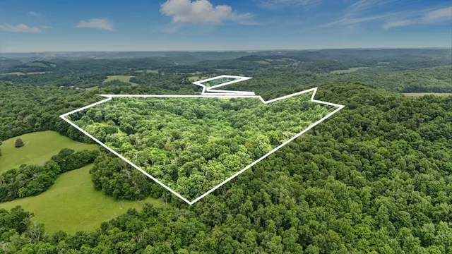 a view of a yard in a balcony