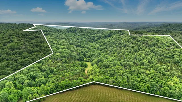 $1,400,000 | 124 Blue Smith Road, Petersburg, TN 37144