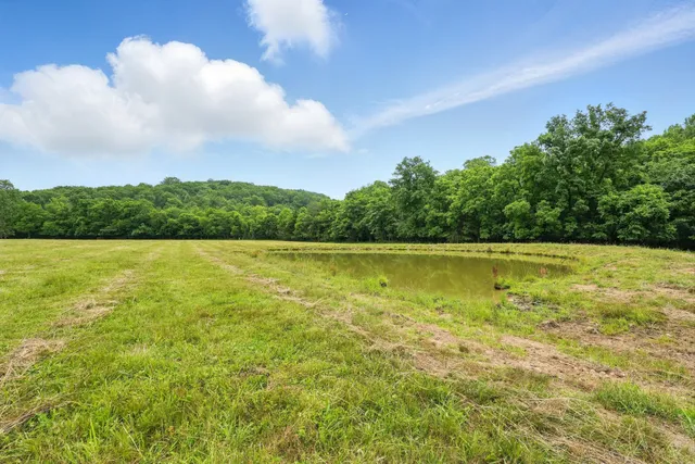 a view of a lake and yard in the back
