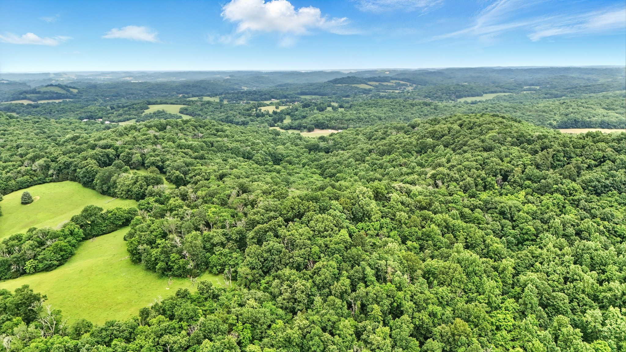 124 Blue Smith Road Petersburg, TN 37144 - Photo 6 of 49 a view of a garden