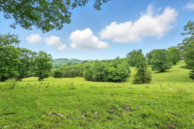 a view of an outdoor space and a yard
