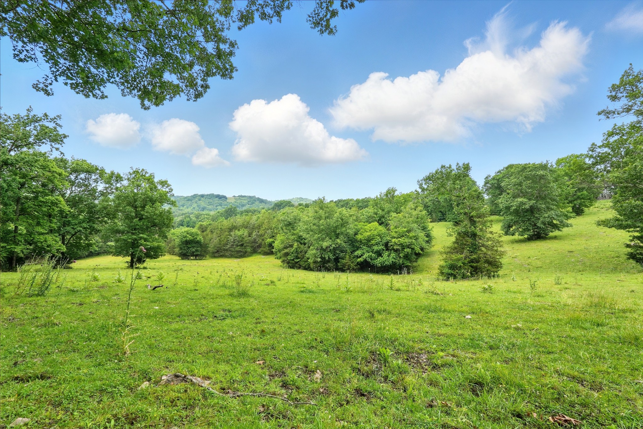 124 Blue Smith Road Petersburg, TN 37144 - Photo 7 of 49 a view of an outdoor space and a yard