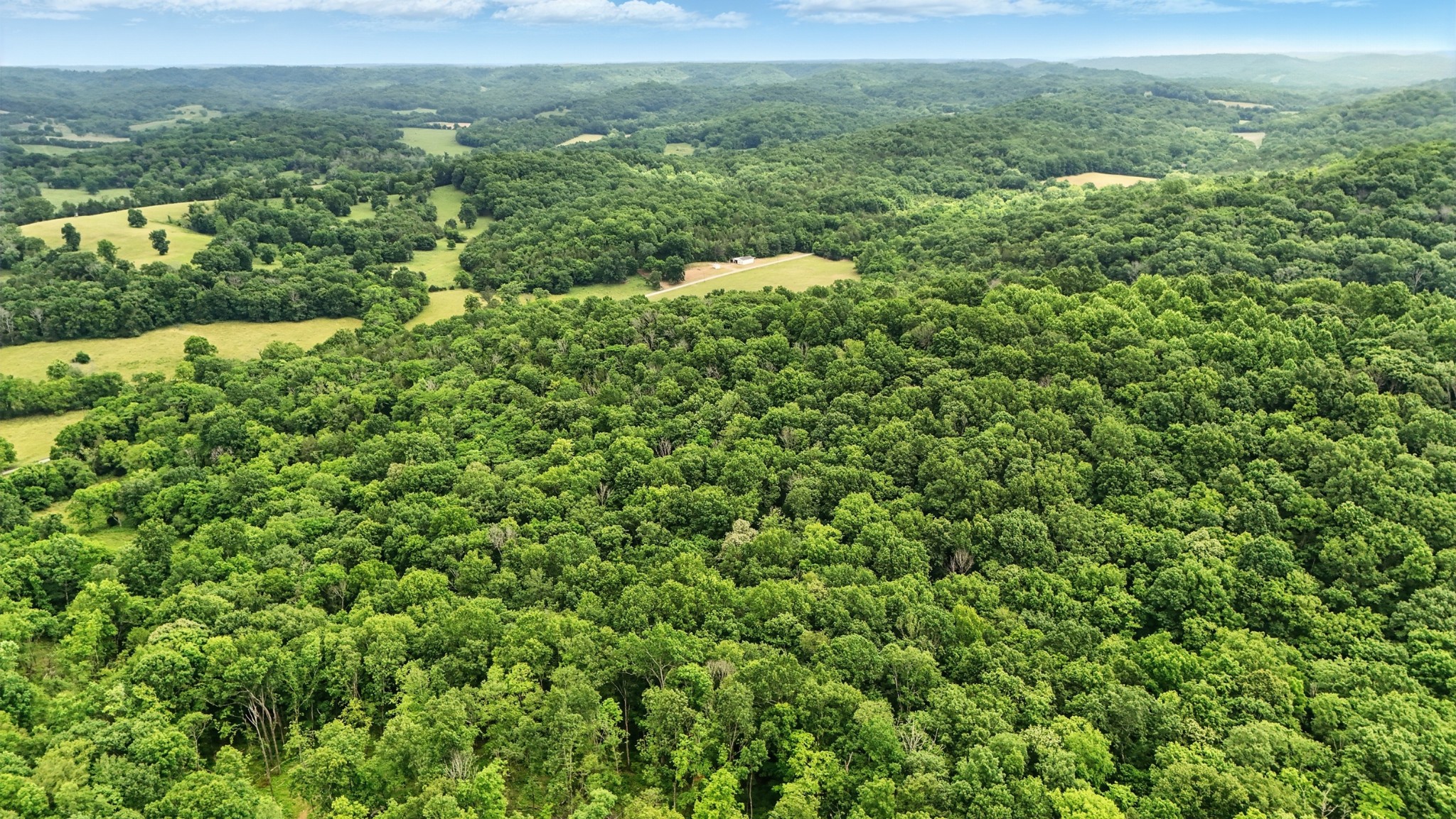 124 Blue Smith Road Petersburg, TN 37144 - Photo 9 of 49 a view of a lush green forest with trees and houses in the back