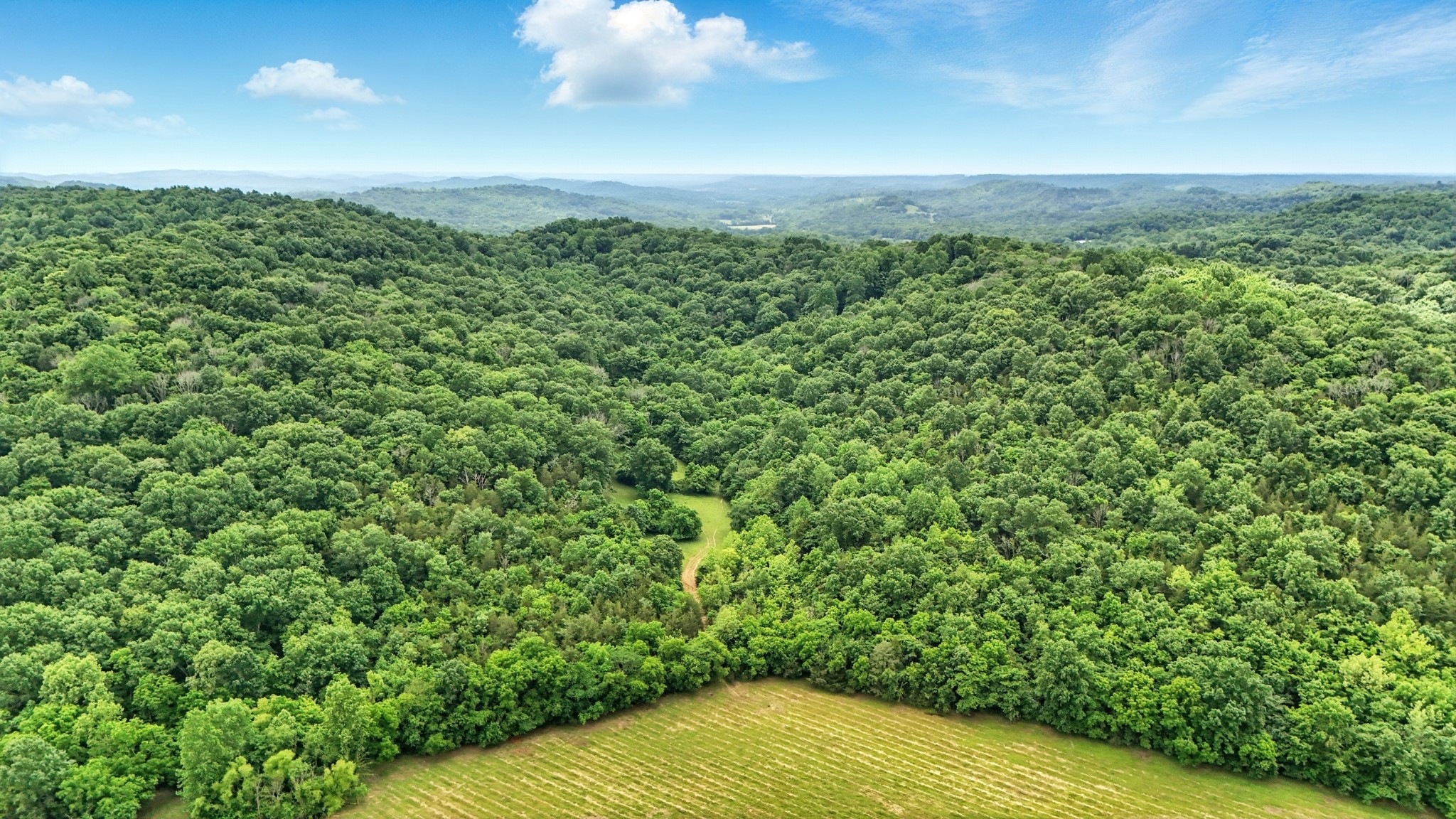 124 Blue Smith Road Petersburg, TN 37144 - Photo 10 of 49