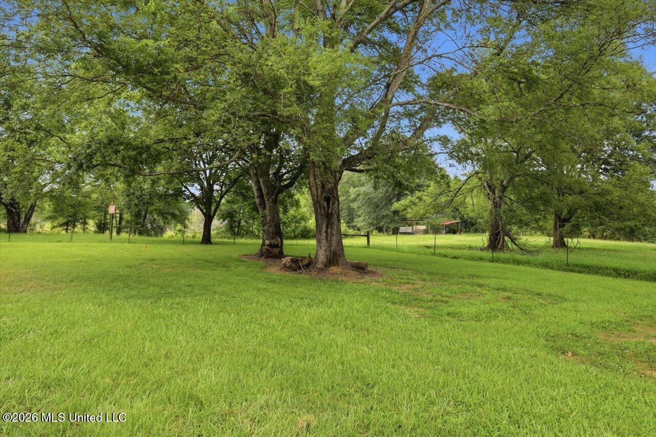 198 Morgan Road Canton, MS 39046 - Photo 53 of 58 56-198 Morgan Rd _ Hometoursms.com