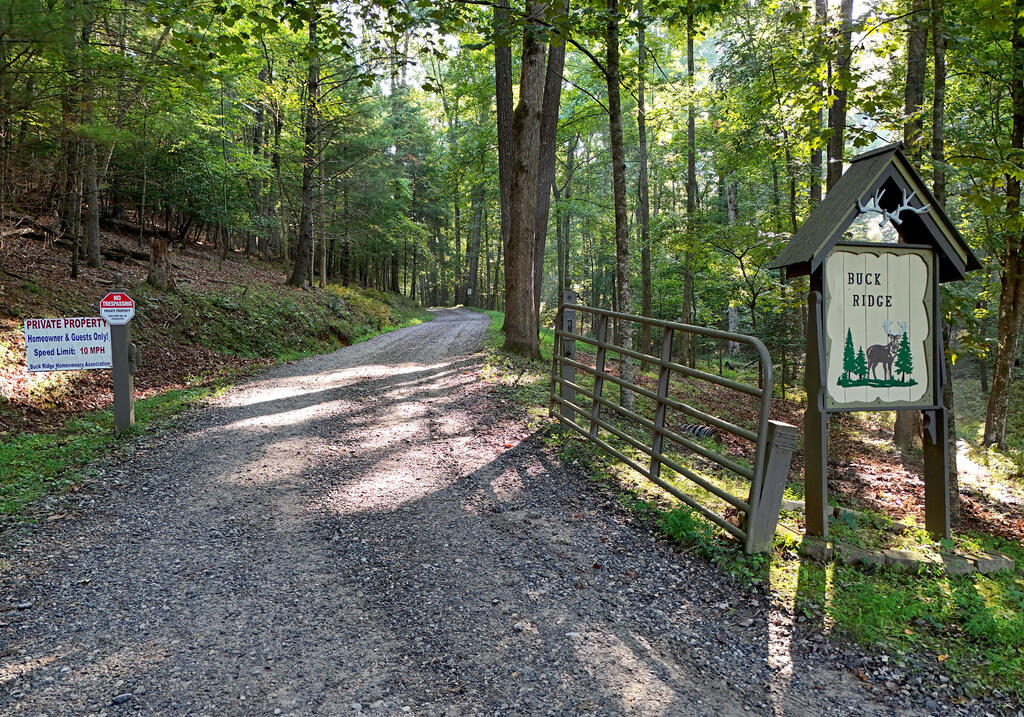 344 Buck Ridge Road Suches, GA 30572 - Photo 49 of 50 Gallery Image 49