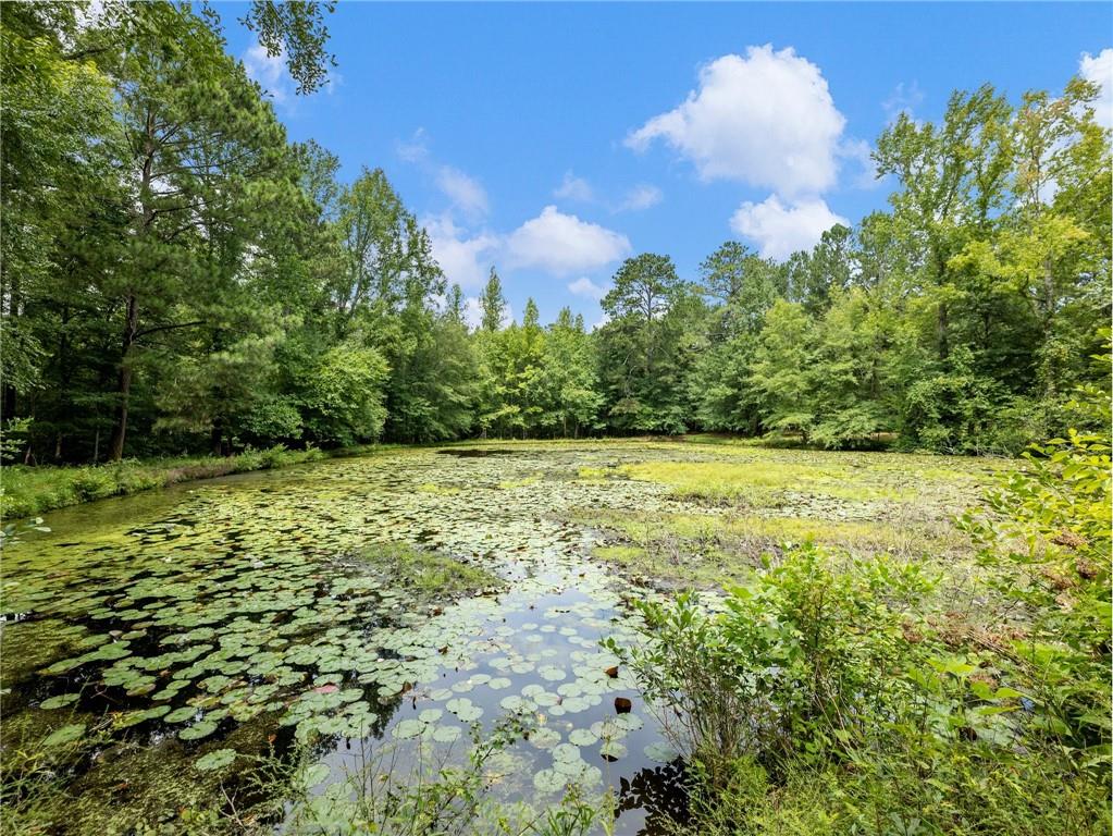 1334 Criswell Road Southeast Monroe, GA 30655 - Photo 42 of 45