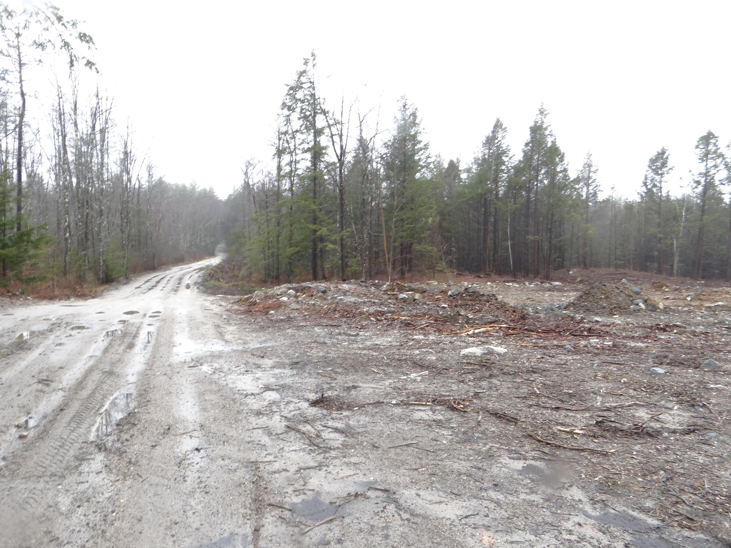 0 Moody Road Standish, ME 04084 - Photo 25 of 26 Property Abutting Road