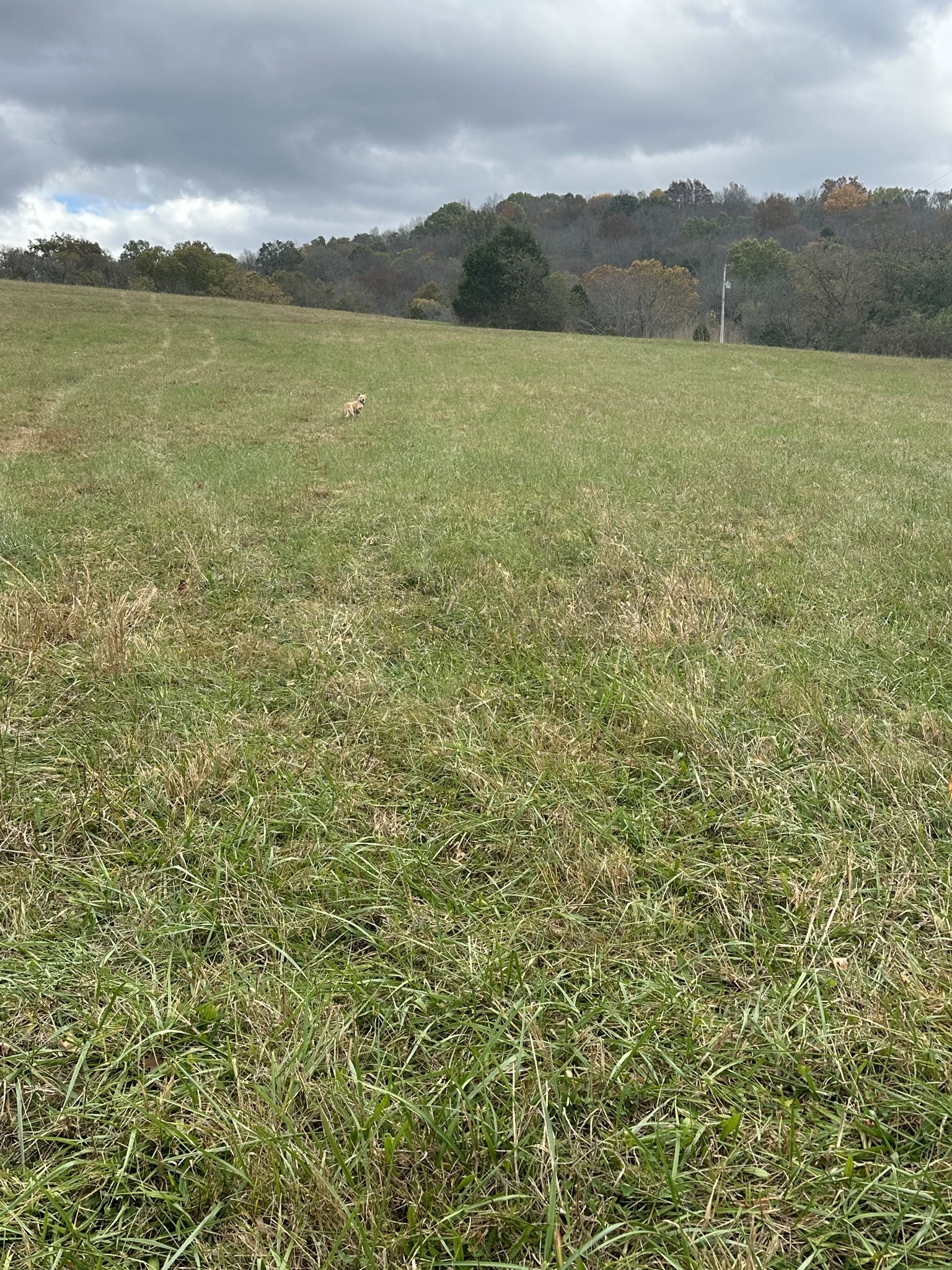 772 Rock Bridge Road Bethpage, TN 37022 - Photo 11 of 11 Gallery Image 11