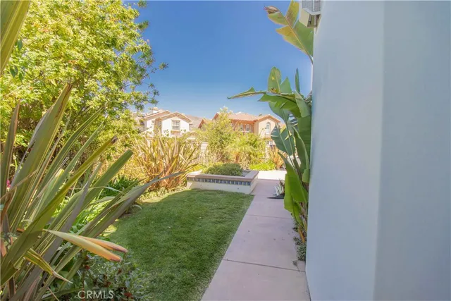 a view of a patio with plants and large trees