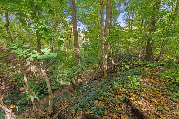 $300,000 | 633 Brown Street, Niles, MI 49120